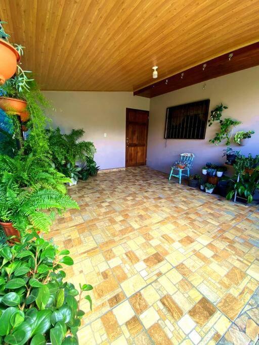 Peace Garden Apartment Monteverde Exterior foto